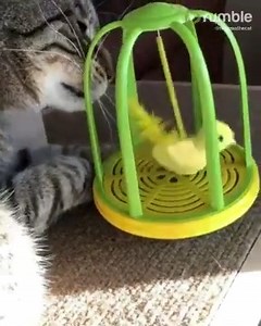 11K views · 31 reactions | These snack packages look like they're a little hard to open! | Rumble | Facebook