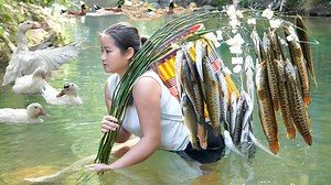 2.2K views · 41 reactions | Fishing for snakehead fish with shrimp bait - and the results after a night at the forest stream. | Court Shows | Facebook