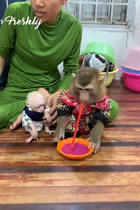 All cute baby monkey hungry they to ask mom made fruits juice for eat delicious | The Freshly