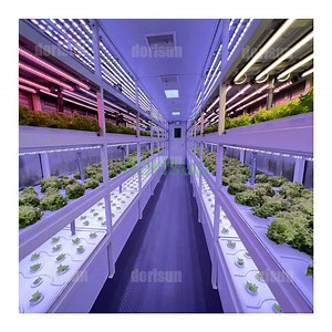 [Hot Item] Large 40FT Container Hydroponic Plant Factory Steel Agricultural Greenhouse PC Sheet Eco-Friendly Urban Farming Solution