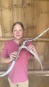 Triple rack flute available for custom order! Visit root flute.com | RootFlute