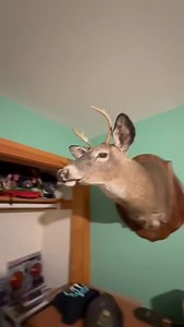 Spoon & Crockpot Hall of Fame 🫡 🏆 | Hunt Gambo