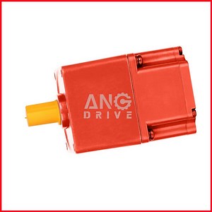 [Hot Item] High Torque Micro Small DC Motor Gear Motor for Door Lifter