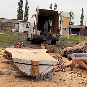 1.8K views | A shocking find in an oak tree | আমার শেরপুর, Amar Sherpur | Facebook