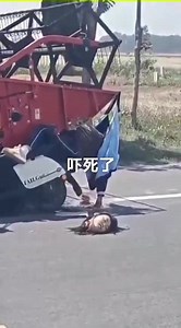 Chinks head fell off