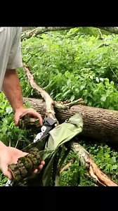 Walnut Owl Making 🦉💓🦉 Rate this Work😊 Video By: Doug Linker (YT) | Owls Lover Club