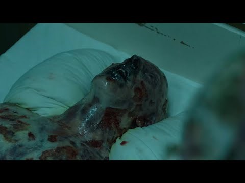 To Poison a Pregnancy | Chernobyl (HDR)