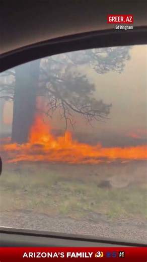 Wildfire tears through Apache County