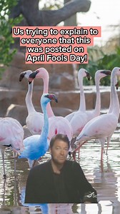 Naples Zoo at Caribbean Gardens on Reels