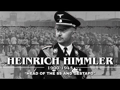 Fall Asleep To ENTIRE History of HEINRICH HIMMLER | Waffen SS and Gestapo | WW2 War Documentary