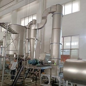 [Hot Item] Hot Sale Spin Flash Dryer Machine with Cyclone Separator From China