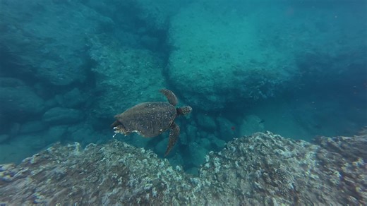 Ryan Becker on TikTok