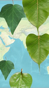 It’s a Dil Da Mamla! AOI brings you an unexpected history of the heart….emoji! From being an ivy leaf in Greek God Dionysius’s (grapes/wine emoji symbol) party outfit to being linked to booze, sex and genitals to becoming the masthead of Valentine’s, the heart has been very naughty before becoming the emoji we know it today. Watch in today’s special edition of #HistoriesofIshq. #AHistoryOfTheHeart #Emoji #HeartEmoji #DigitalCulture | Agents of Ishq