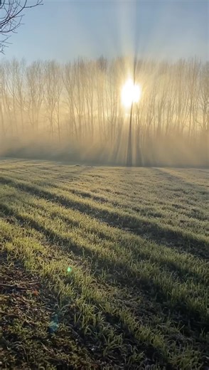 Chakra Sustentable on TikTok