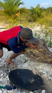 A hidden gold mine under ironwood was discovered on July 29, 2025. #hidden #goldmine #ironwood #discovered #golddiscovery #goldprospecting #goldmining #goldpanning | Nepri Andries