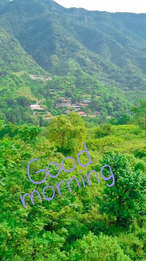 58 reactions | MORNING VIEW From DEHRADUN Hotel Room.... Naanak Hotel 7310971117 Book Your Comfort STAY with us..... #naanakhotels #goibibo #dehradun #booking.com #oyorooms #travelagency | Naanak Hotels | Facebook