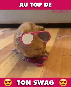 3.4K views · 86 reactions | En mode summer 2017  | Youhumour | Facebook