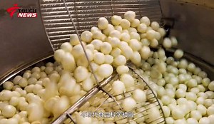 From the golden waters of Luoding, Yunfu City, comes a treasured delicacy—Luoding Fish Tofu. Handcrafted from fresh carp, rich in 18% protein, it's smooth as “silk” and golden-crisp outside, tender inside. No bones, no fuss—just pure, authentic flavor. More than a dish, it’s a taste of reunion, a bite of heritage, and Yunfu’s warmth on every plate. Savor tradition. Share the joy. Check out the video and experience the irresistible delight of this out-of-this-world delicacy! #CantoneseCuisine #To