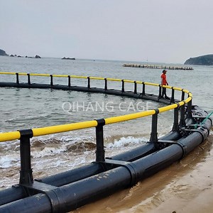 [Hot Item] Fish Cage Fish Farming Equipment for Tilapia Breeding