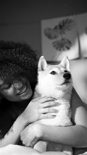  Apoya la función renal de tu perro con Renal Support S y Renal Support F, un alimento formulado para brindarle bienestar y vitalidad. 喙 #NutriciónEspecializada #CuidadoRenal #RoyalCanin #IncreíbleEnCadaDetalle | Royal Canin Colombia | Facebook