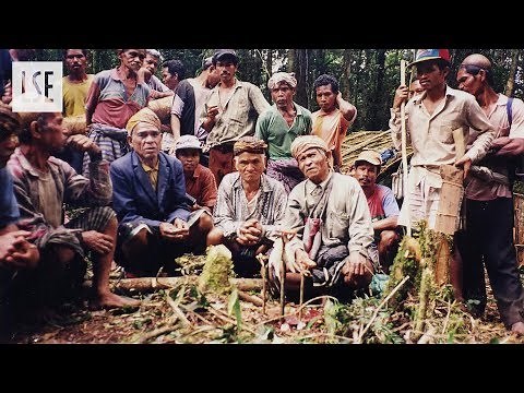 Studying Anthropology at LSE: an introduction