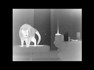 See Through & Fun Thermal Camera Experiments