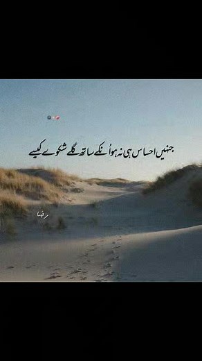 4.2K views · 65 reactions | Global Perspectives on Reels | Facebook