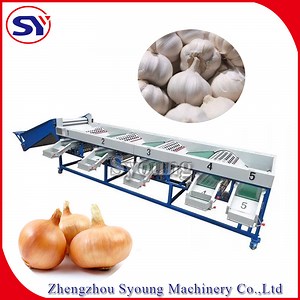 [Hot Item] Best Price Garlic Onion Classifier Sorter Automatic Grading Machine