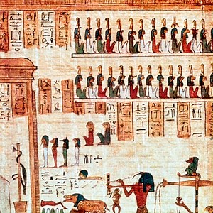 15K views · 136 reactions | Gaia on Reels | Facebook