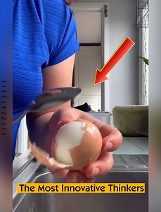 6.6K views · 58 reactions | The Most Innovative Thinkers | Fit2Fat2Fit | Facebook