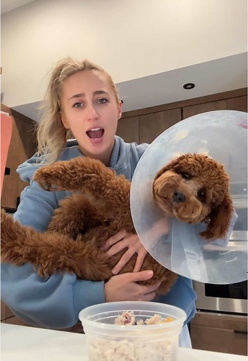 Ashley Cooke (@theashleycooke) - Dog Parent Concerns: When to Remove the Cone