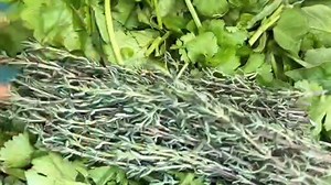 1.1K views · 18 reactions | Homemade Green Seasoning Recipe: Fresh...
