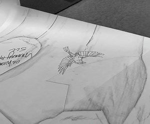 Steven Curtis Chapman on Reels