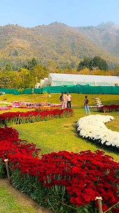 1M views · 2.4K reactions | Botanical garden Srinagar  #flowers #viral #Kashmir | Unexplored Beauty of Mahu Valley | Facebook