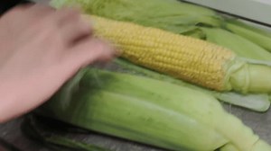 Woman Husking Corn Cob Wooden Table Stock Footage Video (100% Royalty-free) 3983023285 | Shutterstock