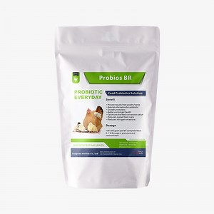 [Hot Item] Boost Chicken Gut Health with Probios Br- Poultry Feed Probiotics for Layers, Chicks & Broilers