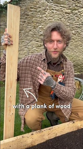 Get Carrots to Germinate Every Time 🥕🌱 #gardening #gardeningtips #growyourownfood