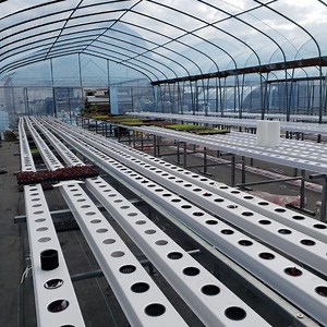 [Hot Item] Soilless Farming Technology Hydroponic Home Garden Indoor Aquaponics Nft System