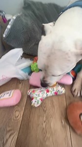 14K views · 5.2K reactions | TK and his tiny toys冀 | Team TK | Facebook