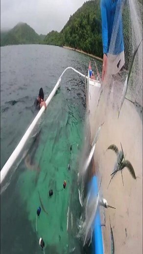 22K views · 26 reactions | #fishing #fish #outdoors #flyfishing #nature #catchandrelease #bassfishing #fishinglife #travel #photography #ocean #trout #bass #adventure #angler #florida #beach #fisherman #tightlines #fishingislife #fishingtrip #largemouthbass #sunset #saltlife #saltwaterfishing #hunting #summer #lake #boat #troutfishing | Gina Istrate | Facebook