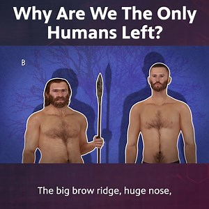 416K views · 7.4K reactions | Why Are We The Only Humans Left? | Be Smart | Facebook