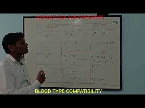 Blood Type Compatibility