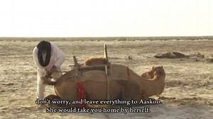 Askoo- A Balochi language documentary about #Baloch Cameleer (English Subtitle)