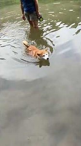⑬Austin への小さな旅 A small trip to Austin 18 June, 2026, 10:48am Lake Austin