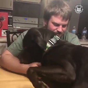 145M views · 891K reactions | WOW  someone's jealous... | Try Not to Laugh | Facebook