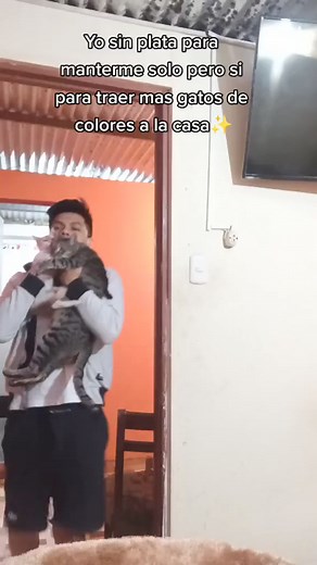 En el michicague ,❣️ #cat #gato #catstagram #catphoto #catlover #cattok #petfriendlycafe #catlove #garota #gatosfofos #gatos #gatosdelmundo #pets #petloverperú #petfriendly | Miguel.Catman