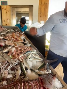 5.4K views · 126 reactions | Riva Beach Club Hammamet........ | Byblos Beach Club | Facebook