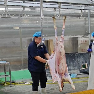 [Hot Item] Turnkey Installation Full Line Sheep Goat Slaughterhouse Equipment Mutton Slaughtering Equipment