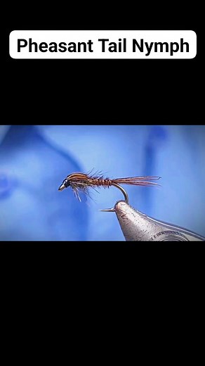 A Pheasant Tail Nymph tied my way 😎 I use a blend of hares masks (a little bit of dyed black but more natural and as dark as I can find), pretty much exclusively guard hairs, a little pine squirel (optional) all mixed with a very small amount of gold & UV. It's the same dubbing mix I use for my Purple Badger. I use the dubbing mix to double the pheasant tail thorax giving it a lovely full looking wing case. #fly #tying #troutfly #flytying #troutfishing #trout #flyfishing #pheasant #pheasanttail