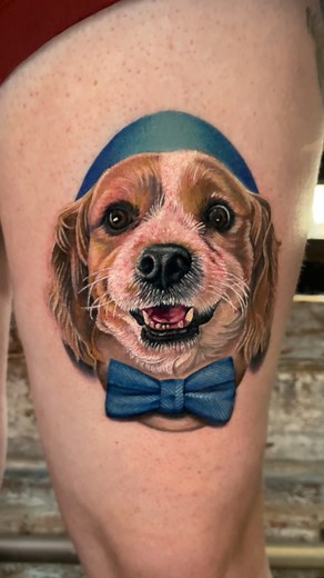 A dapper gentleman and his bow tie! 🥰🐶🎀✨ For tattoo appointments email MeganMassacreBooking@gmail.com | Megan Massacre